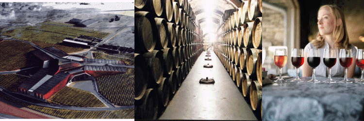 bodega foster ribera del duero